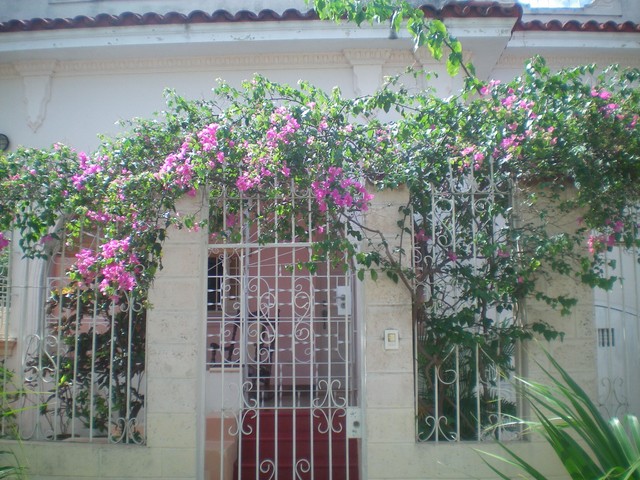 24- CASA PARTICULAR IN AFFITTO HAVANA MIRAMAR